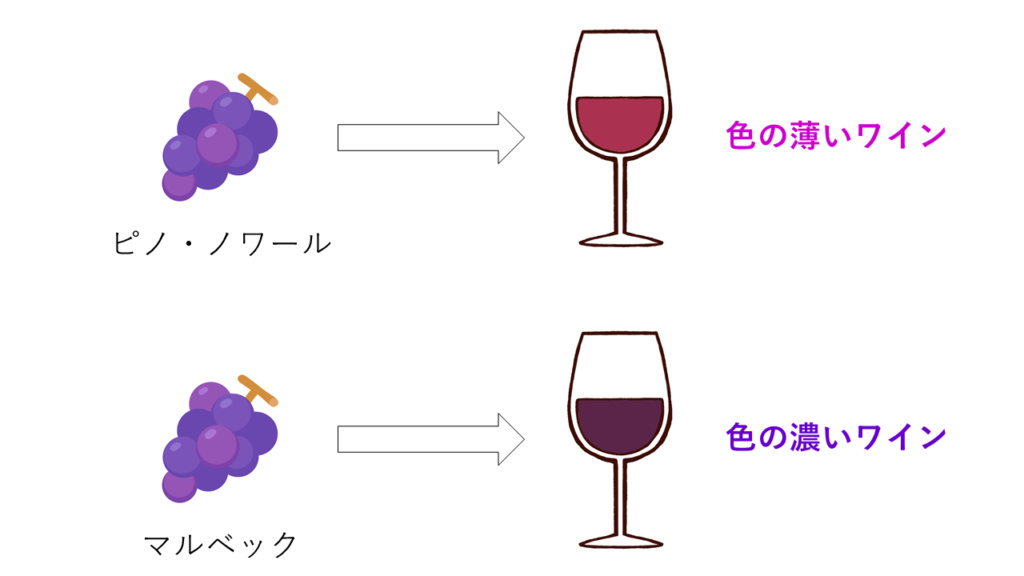 濃淡 ソムリエ ワインエキスパート二次試験 The Planet Of Wine